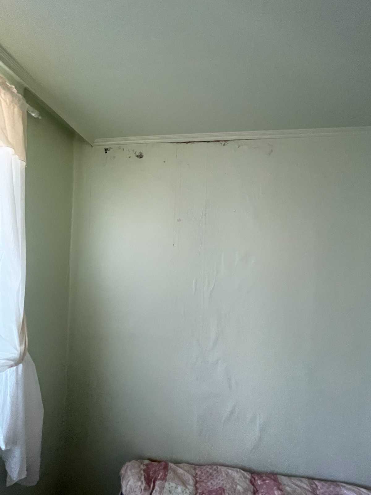 백암면 강림빌라 거실 벽면 누수 피해 - 벽지 들뜸 곰팡이 발생