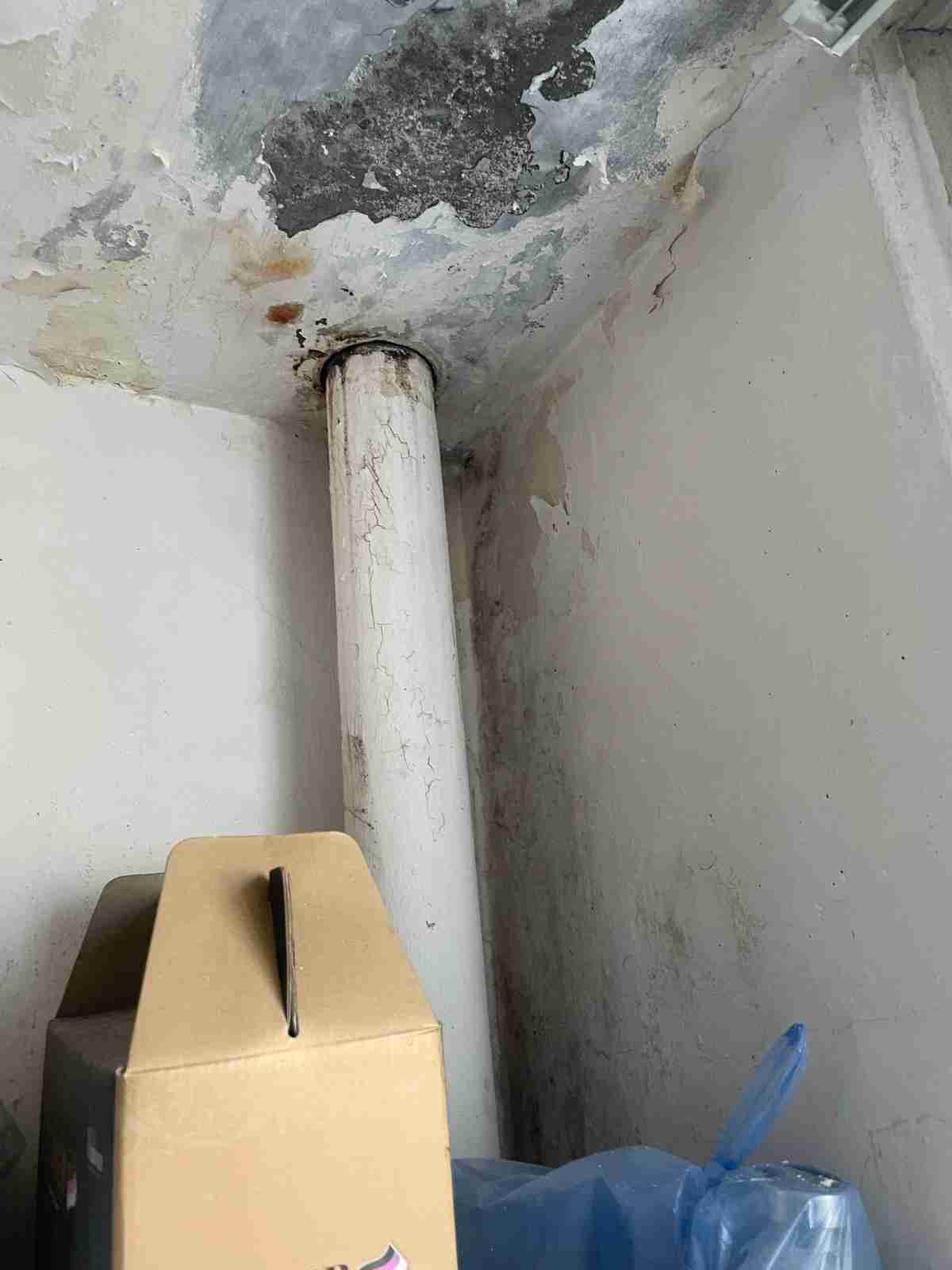 백암면 강림빌라 외벽누수 핵심 - 배관 관통부 천장 페인트 박리 곰팡이 발생