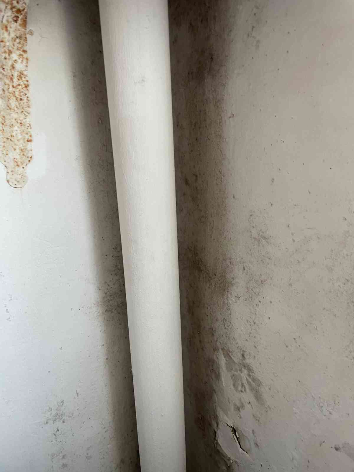 백암면 강림빌라 배관 주변 벽체 곰팡이 수분 침투 클로즈업