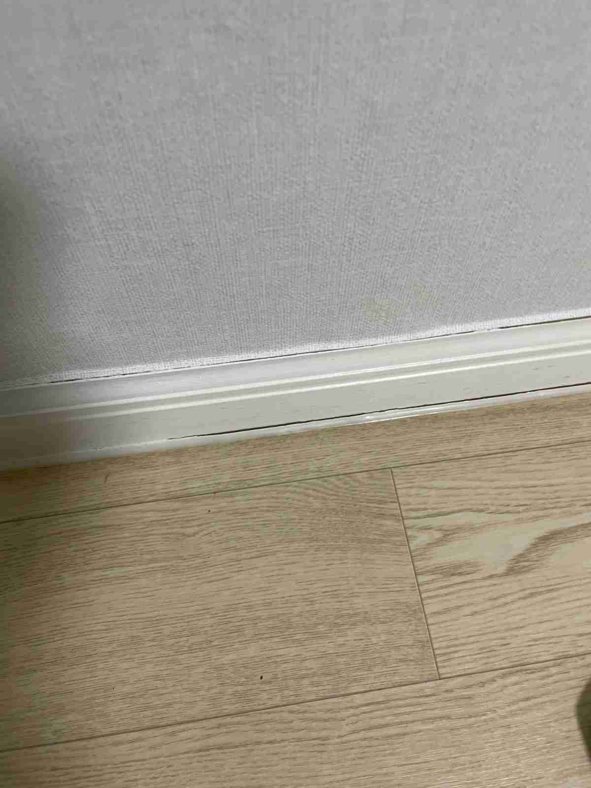 걸레받이 부근 수분 확인