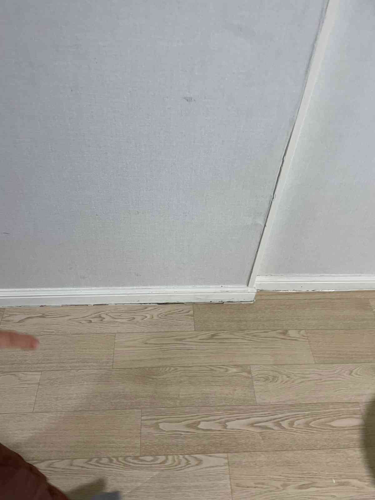 바닥 모서리 수분 자국